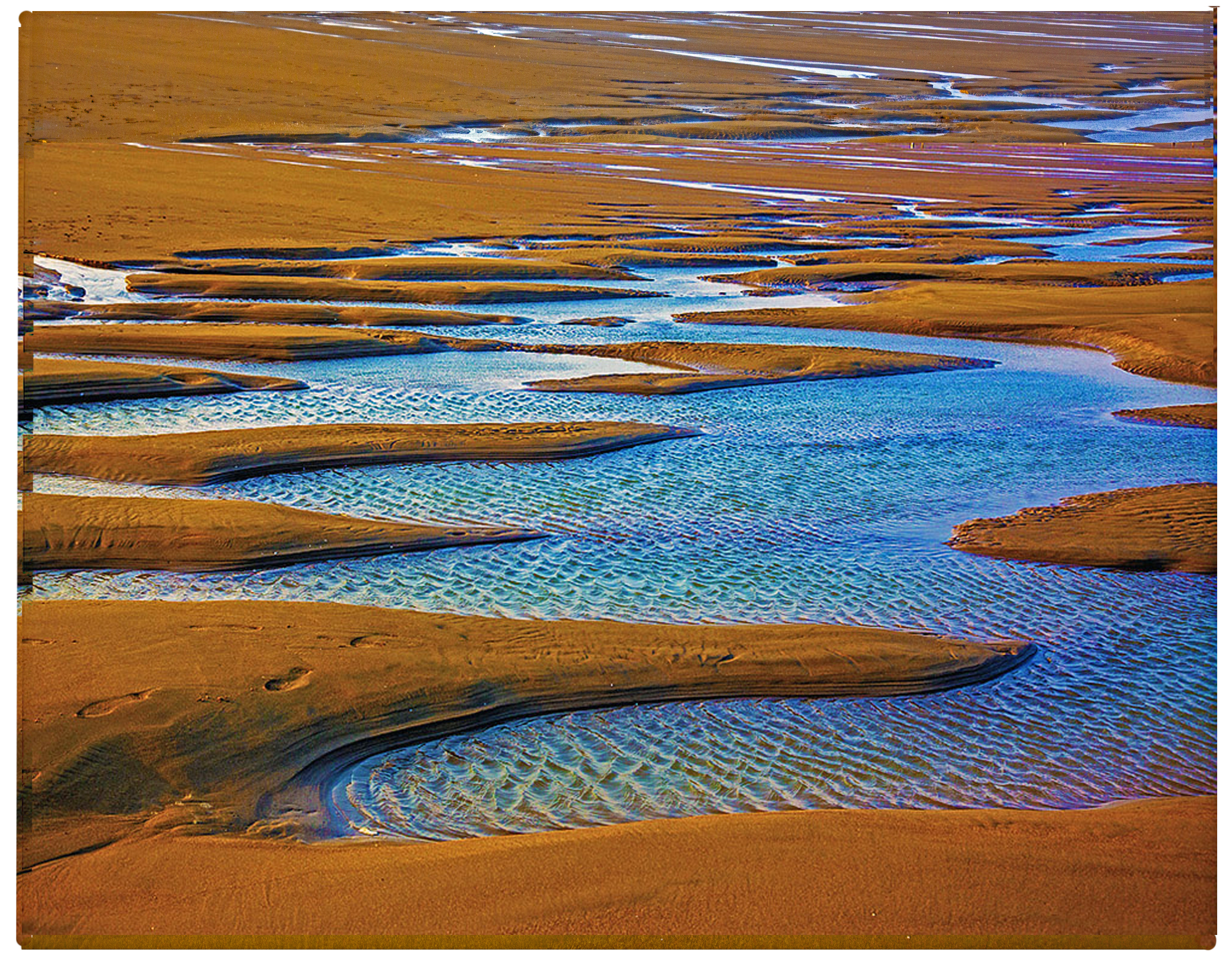 A glimpse of Minjiang River Estuary Wetland